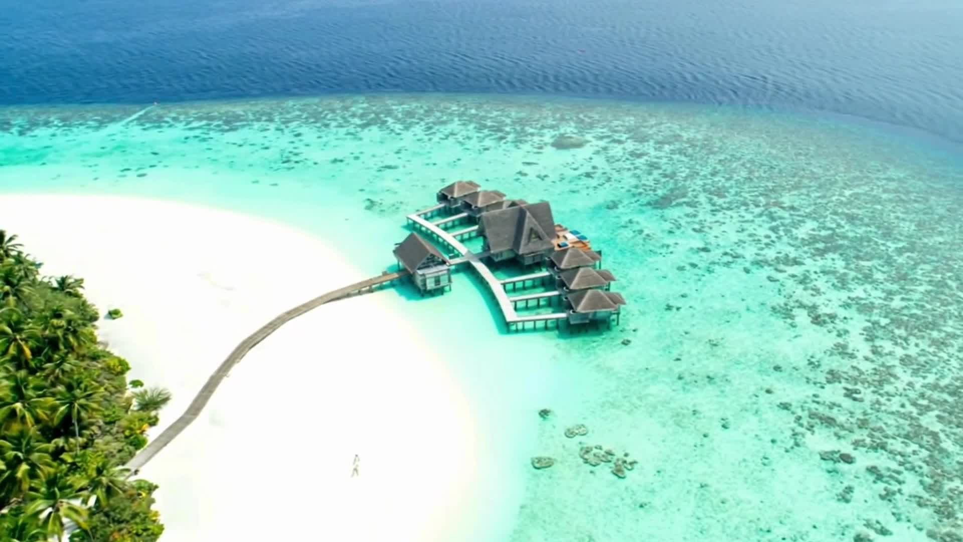 Тропический пляж и бирюзовое море